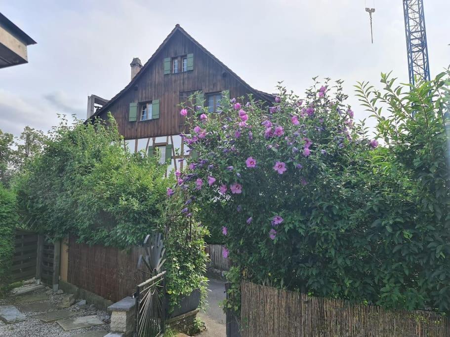 3 Bedroom Swiss House On 3 Floors Oberglatt Esterno foto