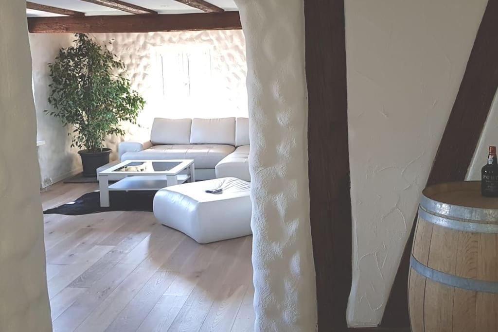 3 Bedroom Swiss House On 3 Floors Oberglatt Esterno foto