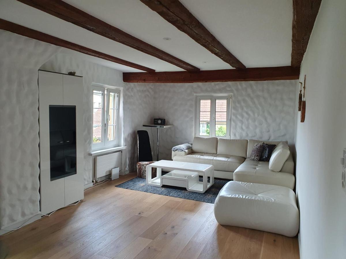 3 Bedroom Swiss House On 3 Floors Oberglatt Esterno foto